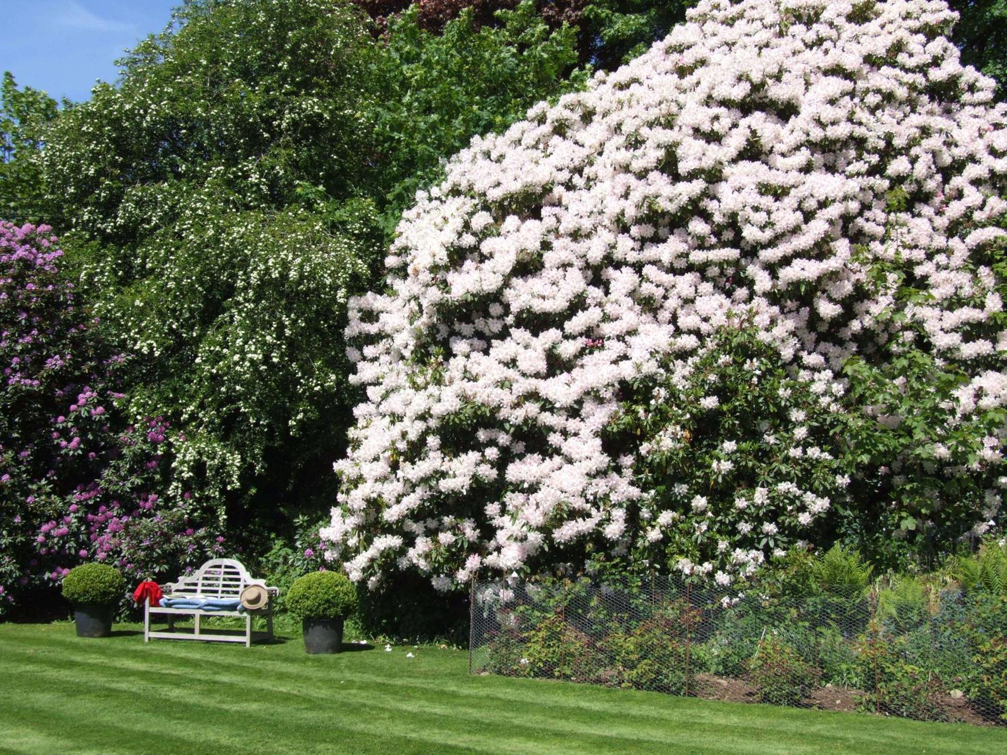 Kinloch House Hotel Blairgowrie and Rattray Kültér fotó